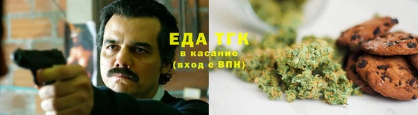 СК Алексин