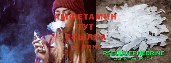 СК Алексин
