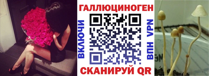 Галлюциногенные грибы прущие грибы  магазин продажи   Пущино 